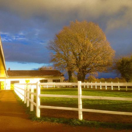 Апартаменти Le Haras Du Favry Palinges Екстер'єр фото